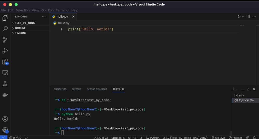 Executing Python scripts in VS Code integrated terminal