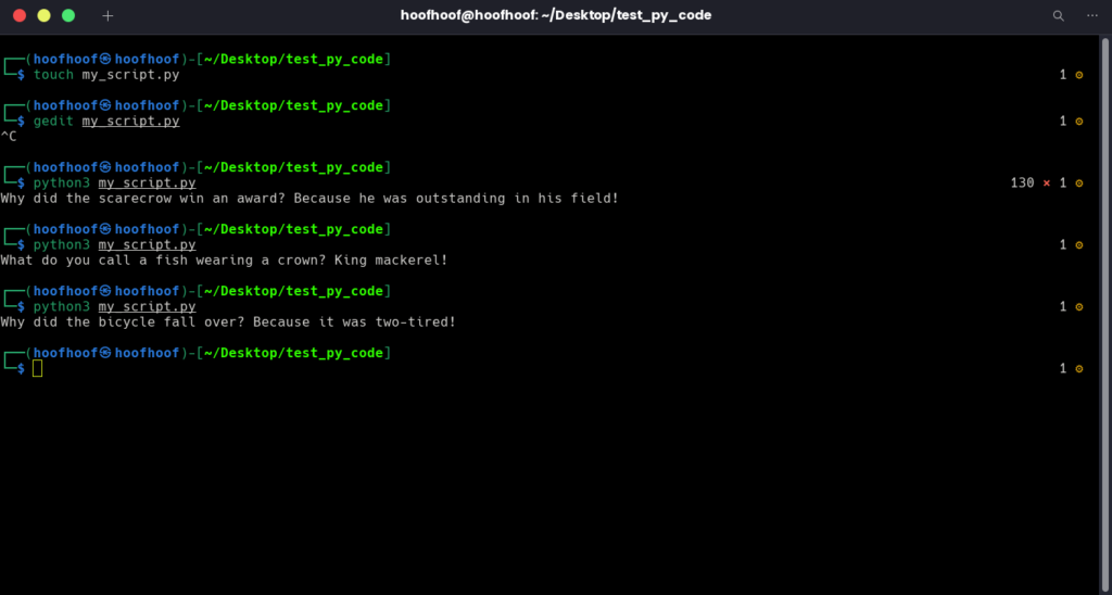 How to execute Python scripts in the terminal using Python interpreter